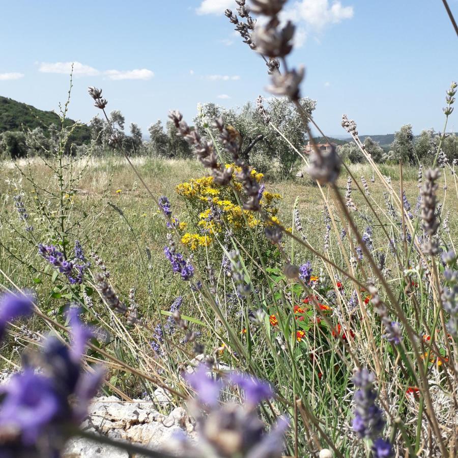 Agriturismo Poggio Falco Batignano מראה חיצוני תמונה