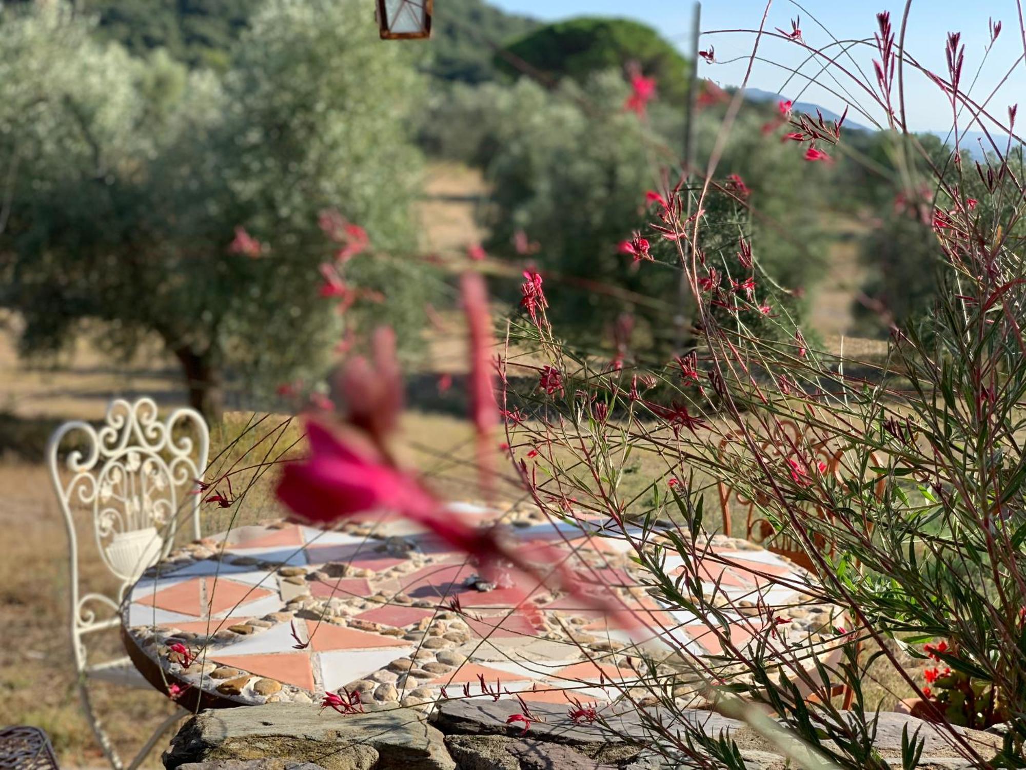 Agriturismo Poggio Falco Batignano מראה חיצוני תמונה